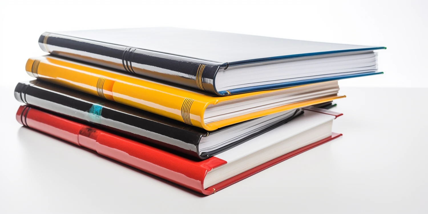 Księgowość dla spółki zoo Białystok