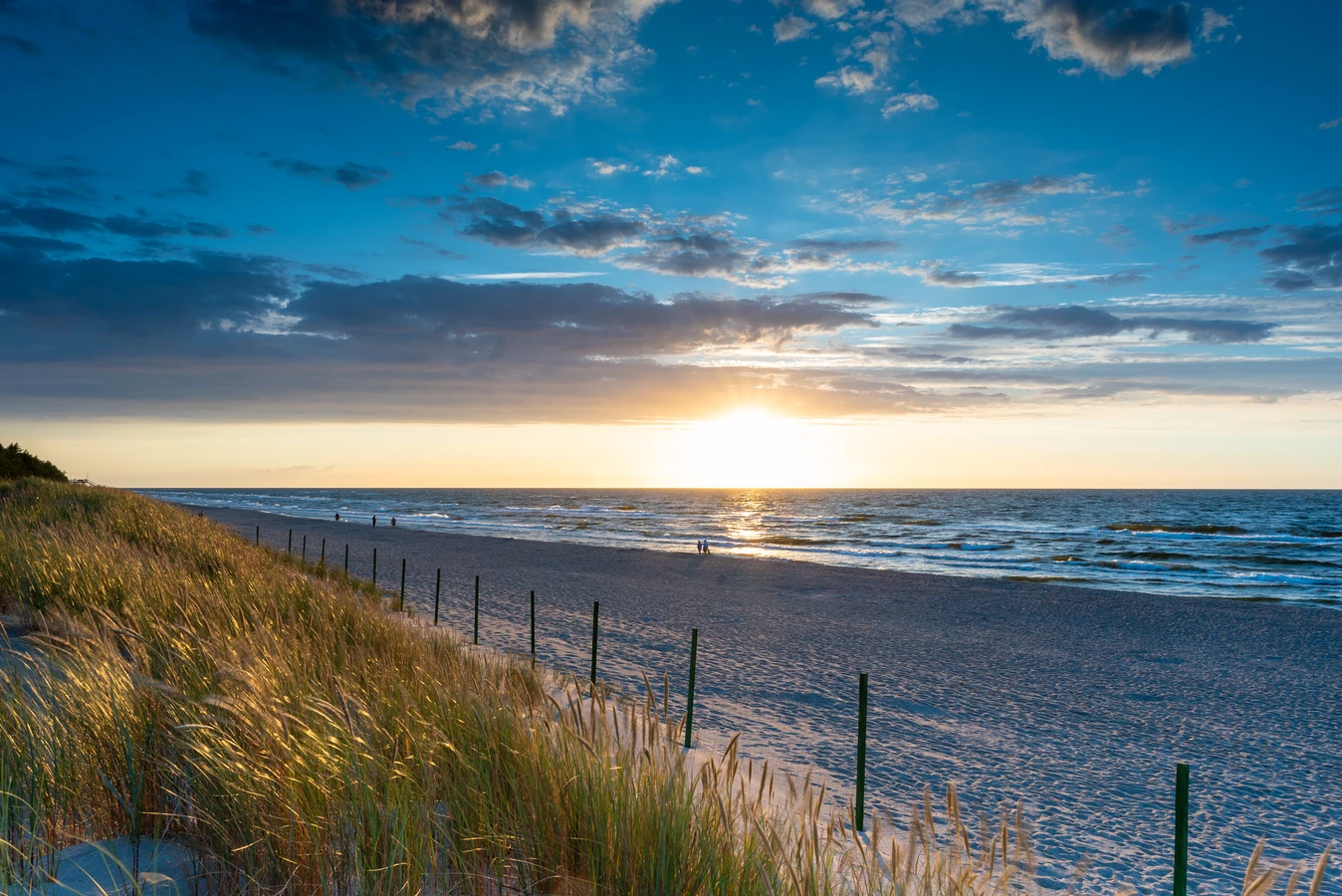 Do kiedy trawa z rolki?